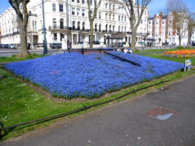 Floral Clock, Palmeira Square, Hove (May 2013) (2)