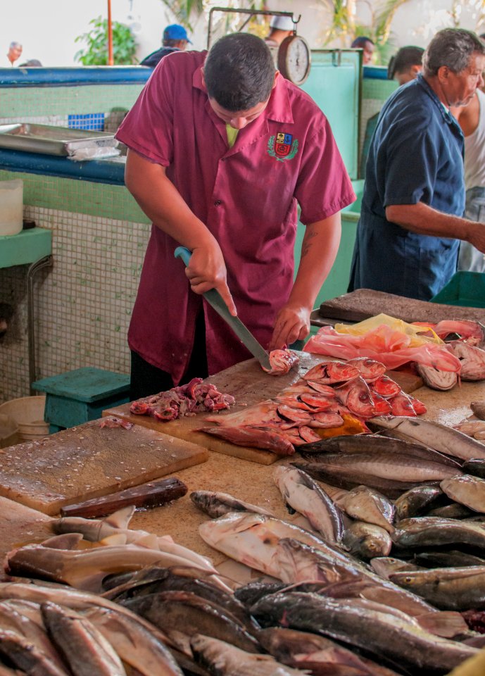 Fishmonger fish cleaning 3