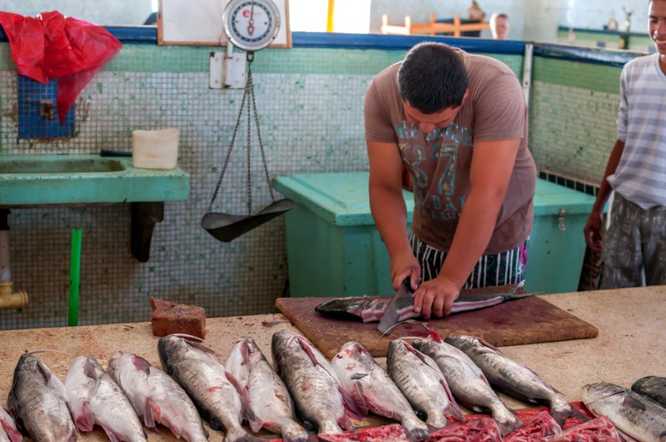 Fishmonger fish cleaning 2