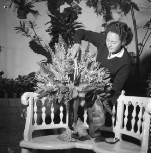 Flowershop in Haarlem ontvangt voor de derde maal een opdracht van het Perzische, Bestanddeelnr 911-6902