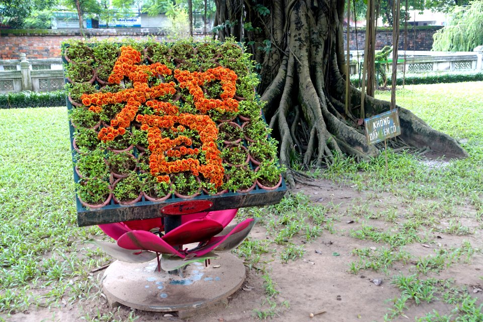 Floral character - Temple of Literature, Hanoi - DSC04695