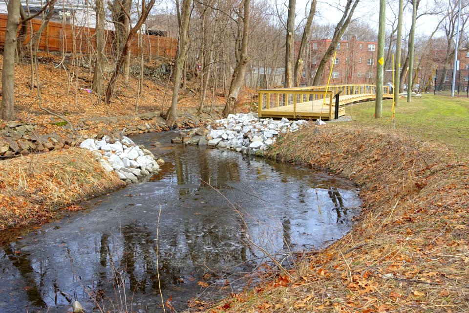 Flood storage area - Mill Brook - Wellington Park - Arlington, MA - DSC05683