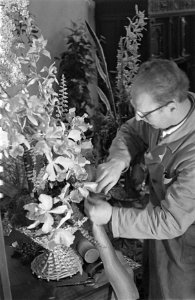 Flowershop te Haarlem levert elf bloemstukken voor het huwelijk van de Sjah, Bestanddeelnr 910-8832