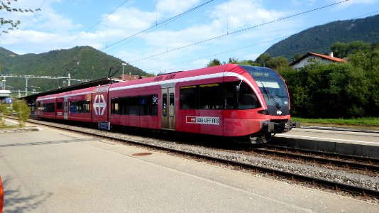 Flügelung GTW Sonceboz-S. (5)