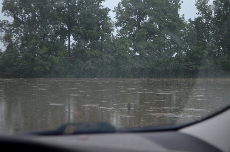 Flooded pasture 2
