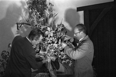 Flowershop te Haarlem levert elf bloemstukken voor het huwelijk van de Sjah, her, Bestanddeelnr 910-8836