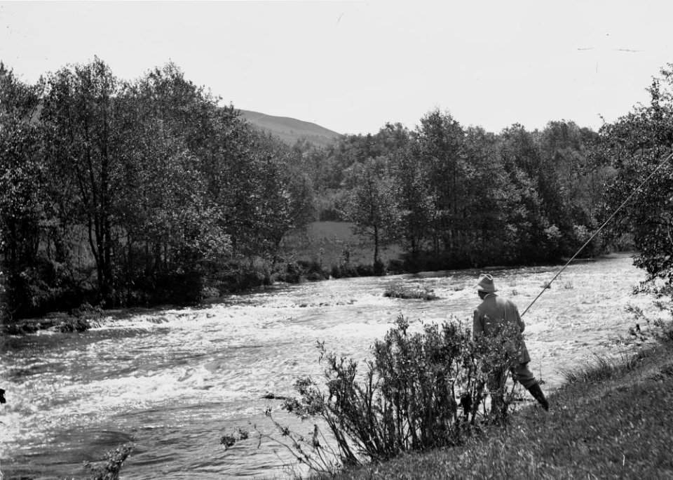 Fishing in a river (1294221)