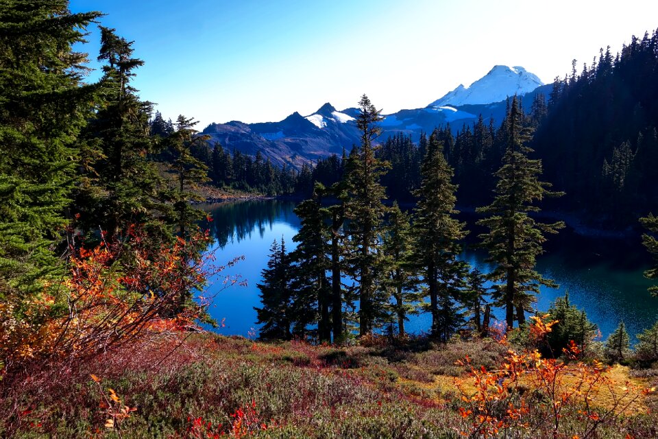 Fall autumn seasons