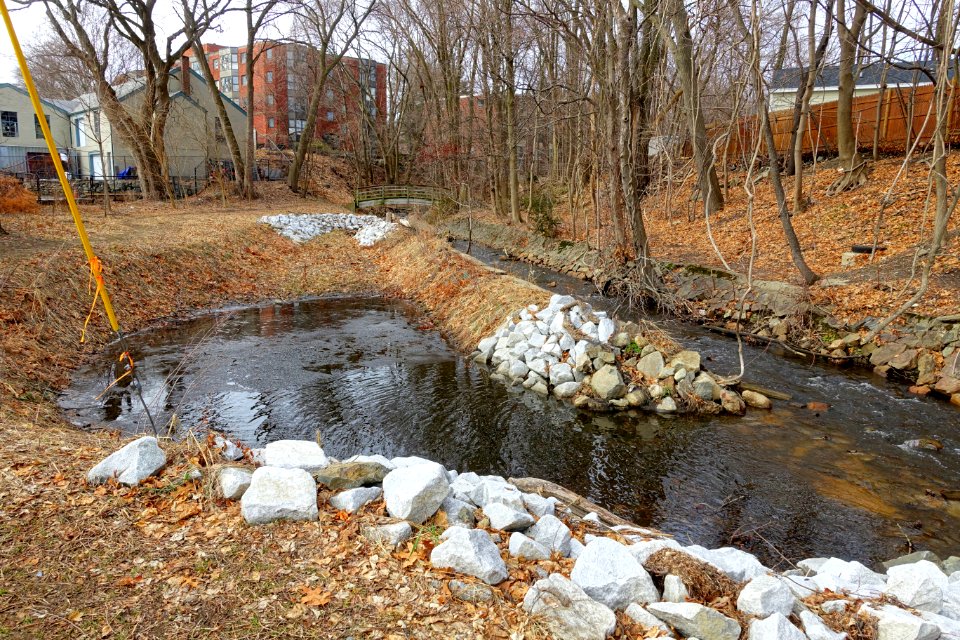 Flood storage area - Mill Brook - Wellington Park - Arlington, MA - DSC05667