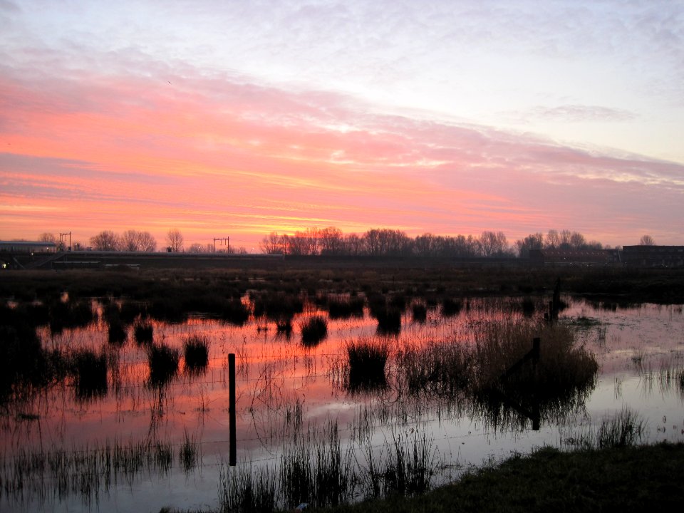 Flooded field near Schuytgraaf, Arnhem, the Netherlands