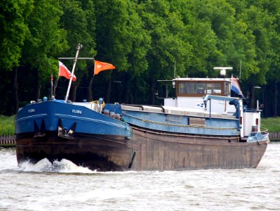 Flora ENI 03340157, Amsterdam-Rijnkanaal, pic1