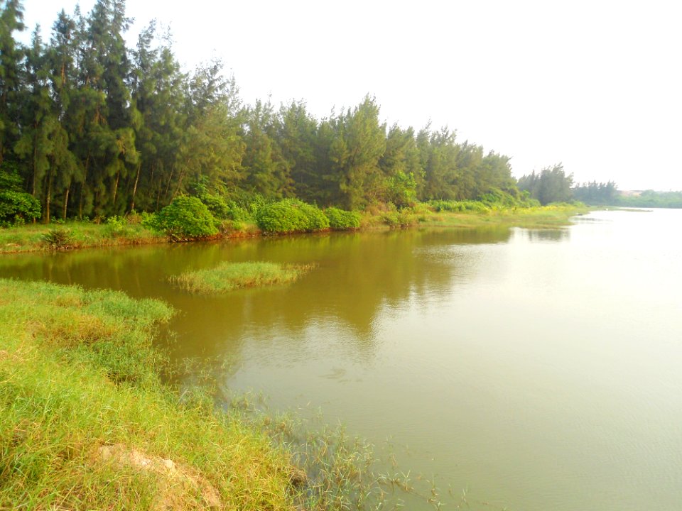 Flora of Hainan - 04