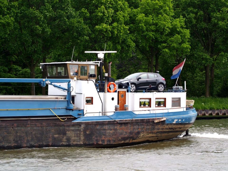 Flora ENI 03340157, Amsterdam-Rijnkanaal, pic3