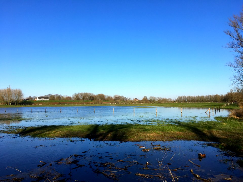 Floodplains, Bemmel