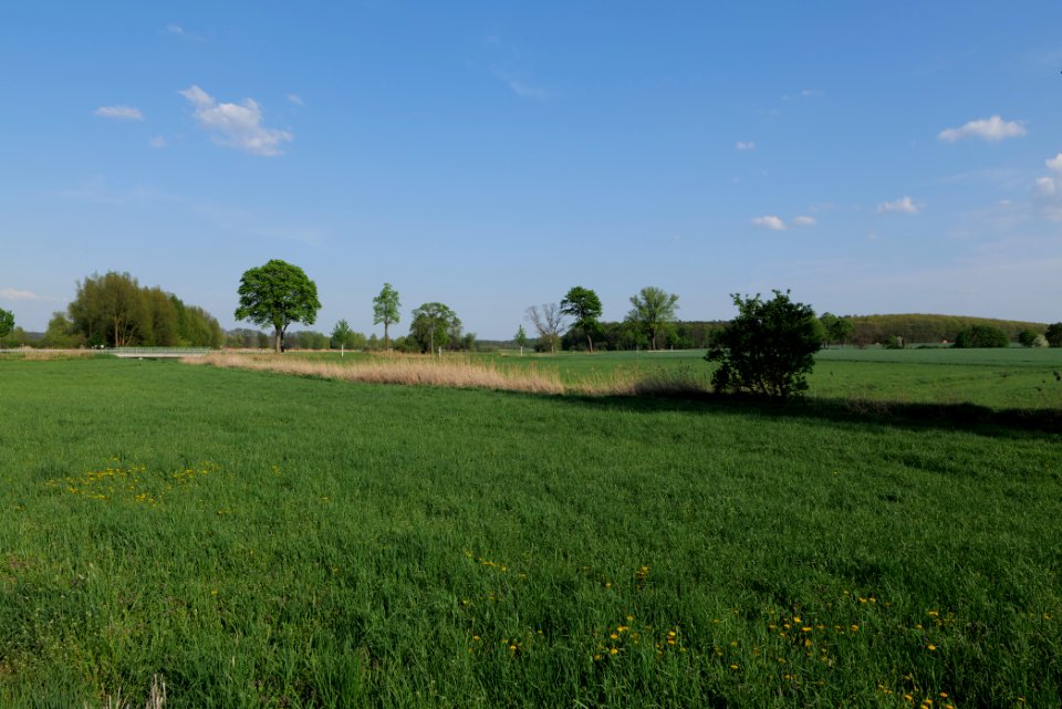 Flutgrabenaue Waltersdorf 2021-05-11 54