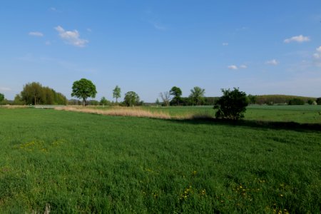 Flutgrabenaue Waltersdorf 2021-05-11 54