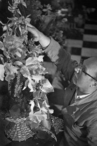 Flowershop te Haarlem levert elf bloemstukken voor het huwelijk van de Sjah, de , Bestanddeelnr 910-8835