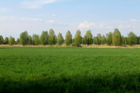 Flutgrabenaue Waltersdorf 2021-05-11 42