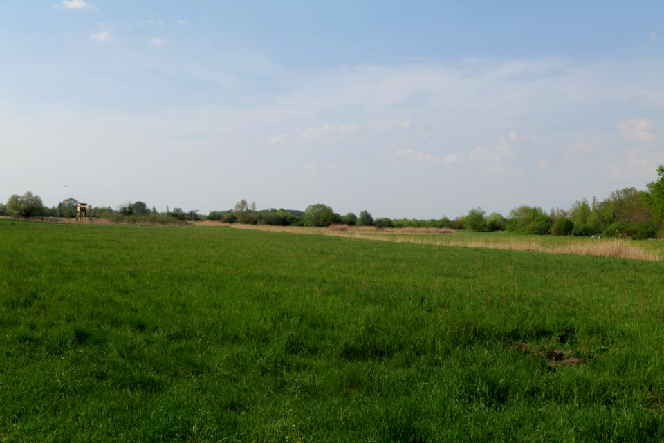 Flutgrabenaue Waltersdorf 2021-05-11 02