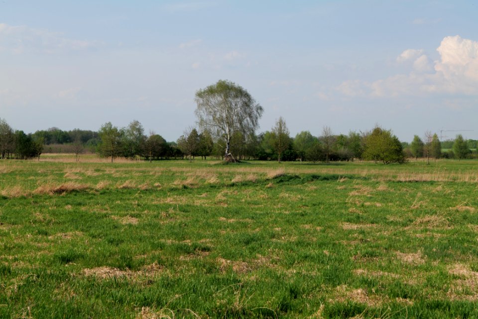 Flutgrabenaue Waltersdorf 2021-05-11 23