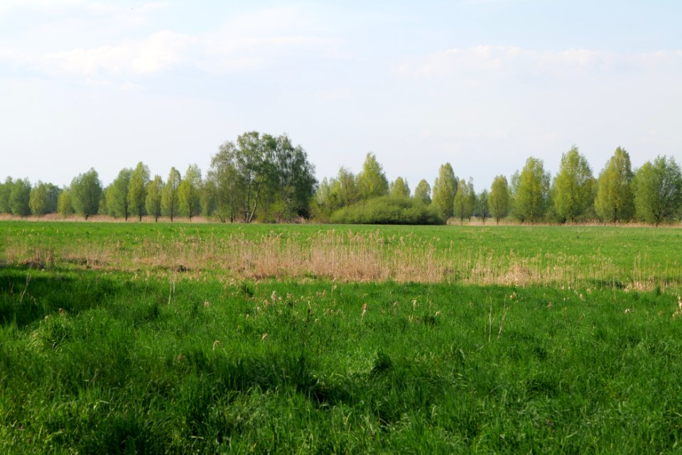 Flutgrabenaue Waltersdorf 2021-05-11 34