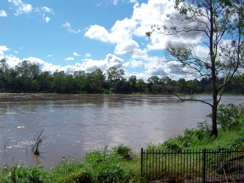 Flooded Brisbane River