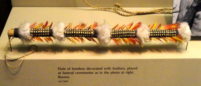 Flute, bamboo with feathers, Bororo - AMNH - DSC06179
