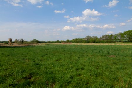 Flutgrabenaue Waltersdorf 2021-05-11 06
