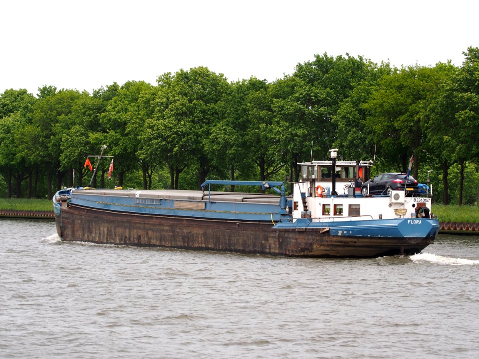 Flora ENI 03340157, Amsterdam-Rijnkanaal, pic4