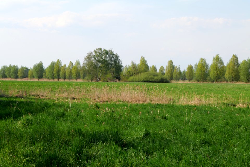 Flutgrabenaue Waltersdorf 2021-05-11 33