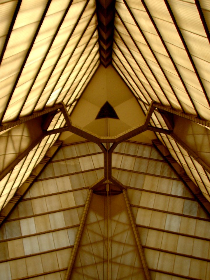 FLW B Sholom looking up