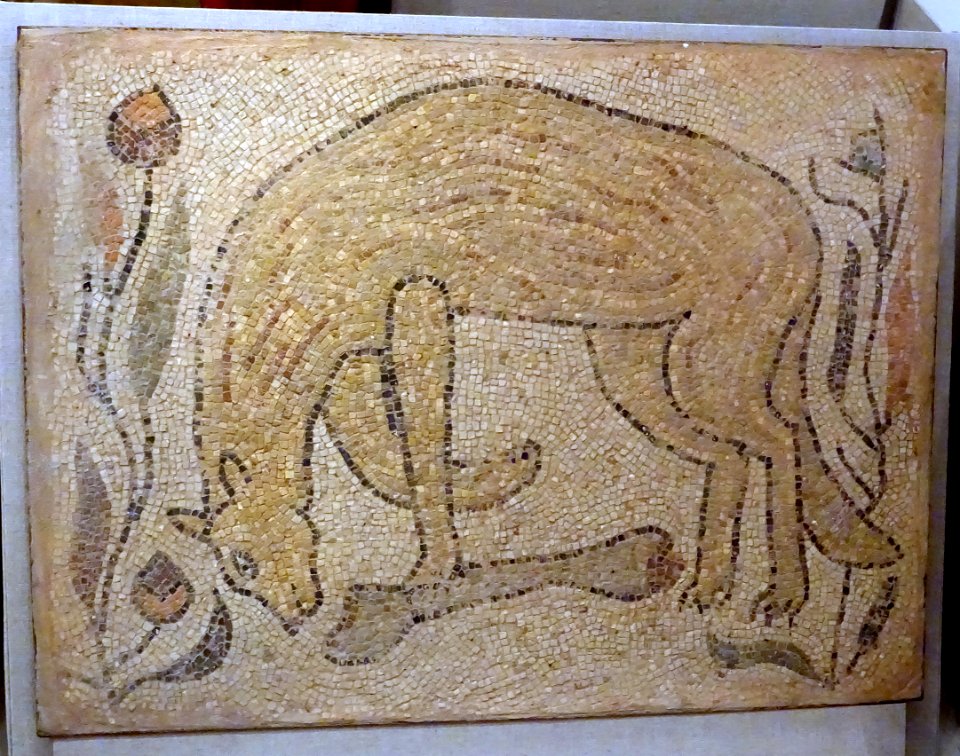 Floor mosaic, Late Roman to Early Byzantine, West Asia, 5th-6th century AD, stone - Spurlock Museum, UIUC - DSC05833