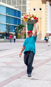 Flower Seller photo