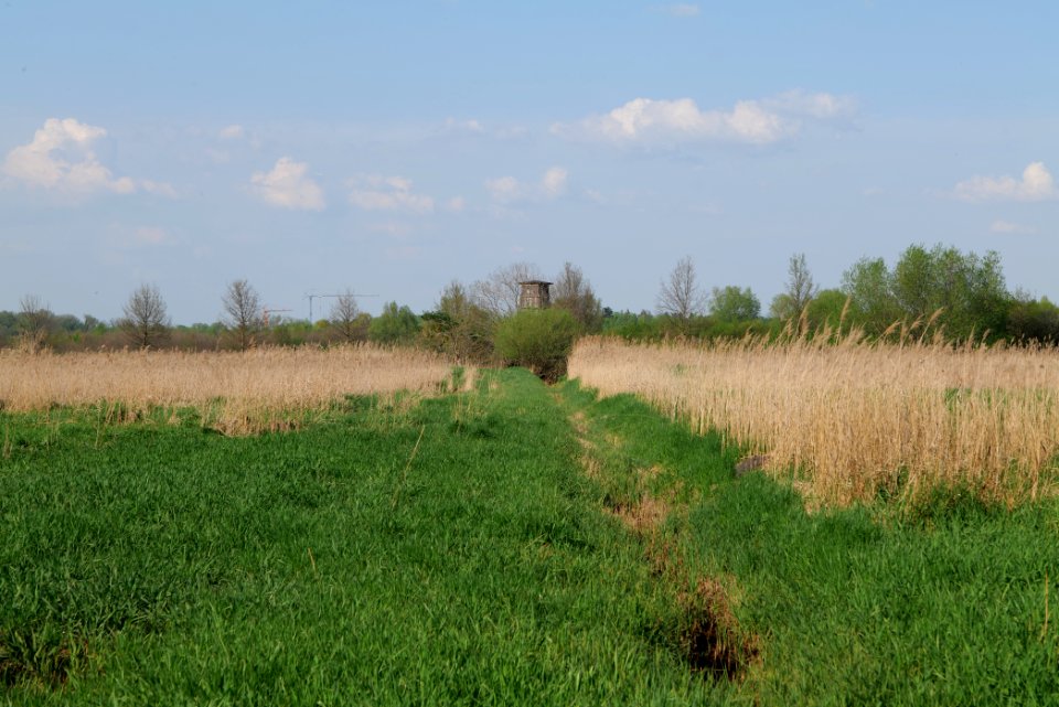 Flutgrabenaue Waltersdorf 2021-05-11 32