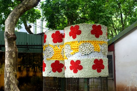 Flower trunks - Hanoi Botanical Garden - Hanoi, Vietnam - DSC03574