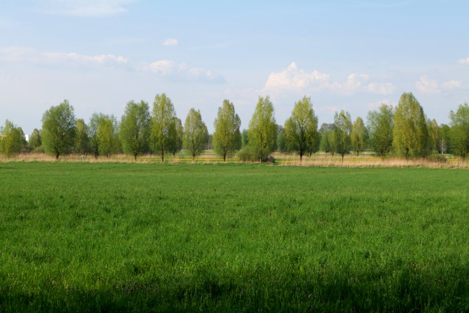Flutgrabenaue Waltersdorf 2021-05-11 43
