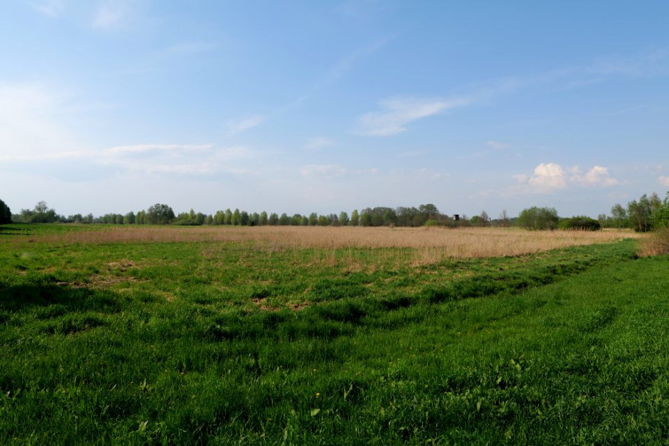 Flutgrabenaue Waltersdorf 2021-05-11 26