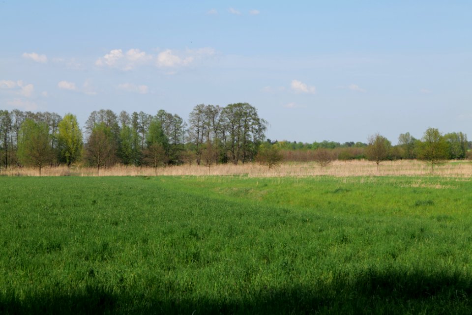 Flutgrabenaue Waltersdorf 2021-05-11 39