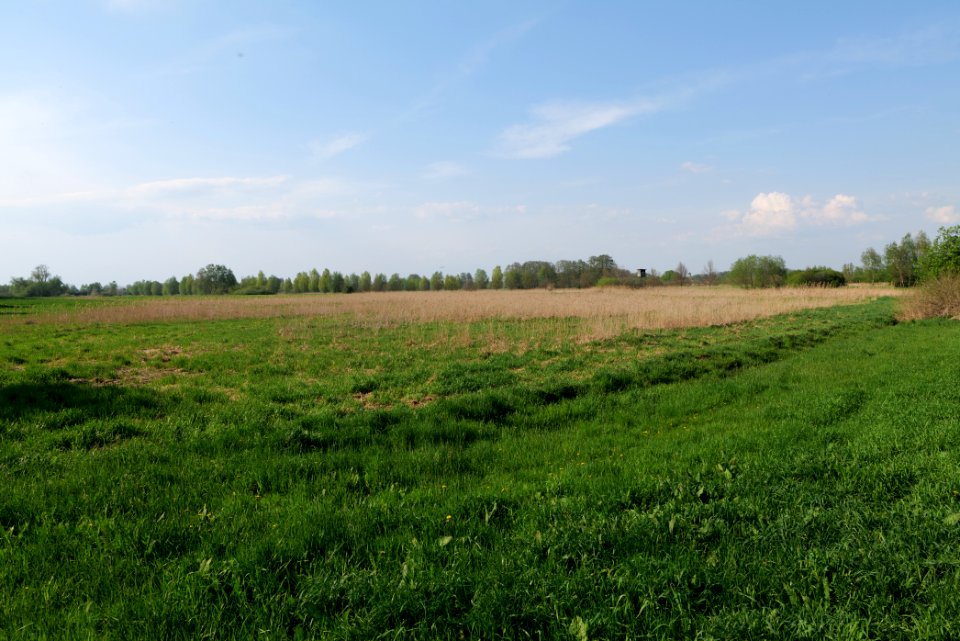 Flutgrabenaue Waltersdorf 2021-05-11 29