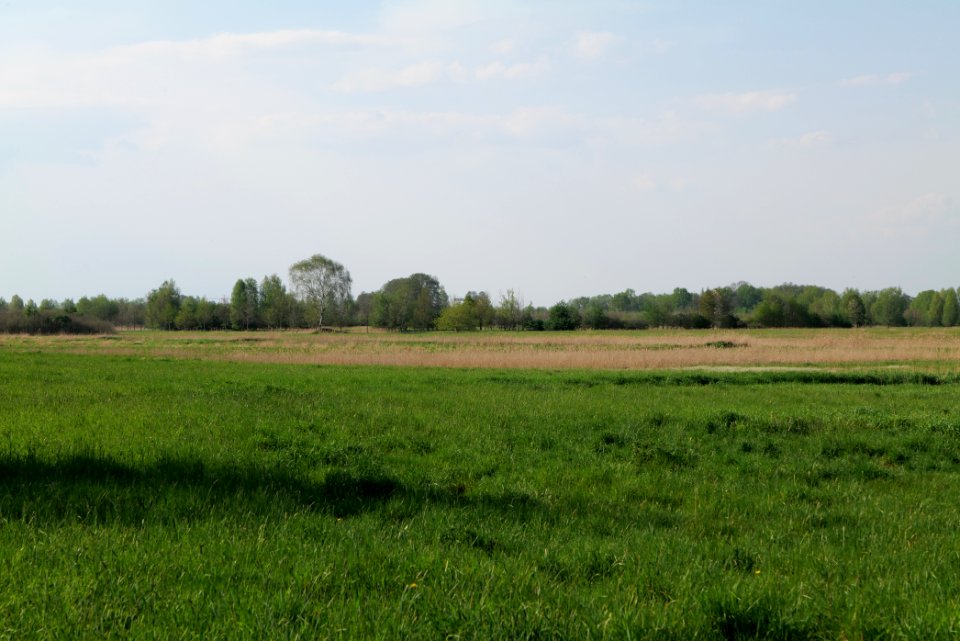 Flutgrabenaue Waltersdorf 2021-05-11 10