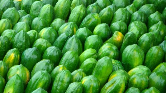 Green production agriculture