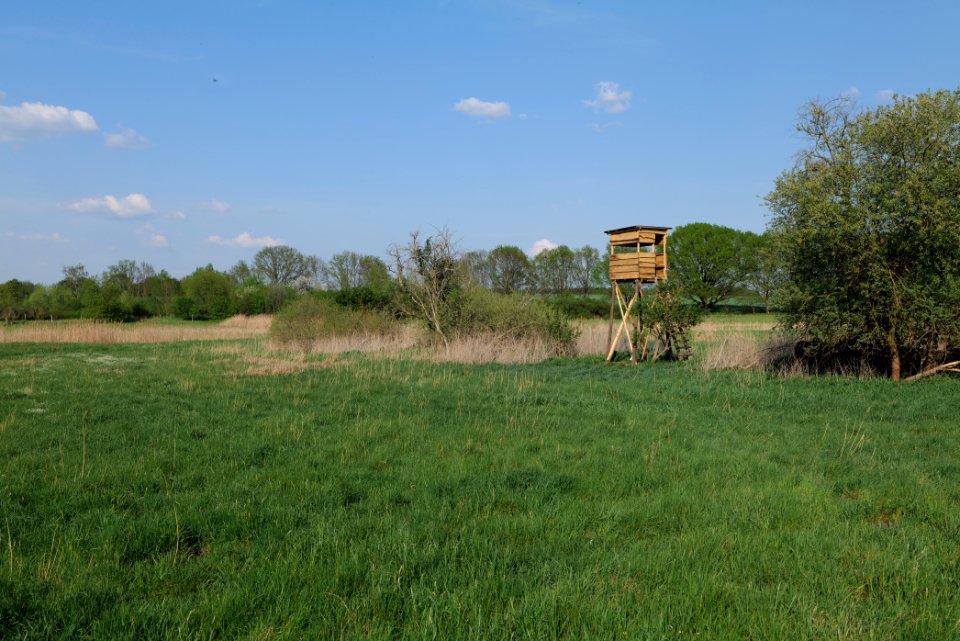 Flutgrabenaue Waltersdorf 2021-05-11 15