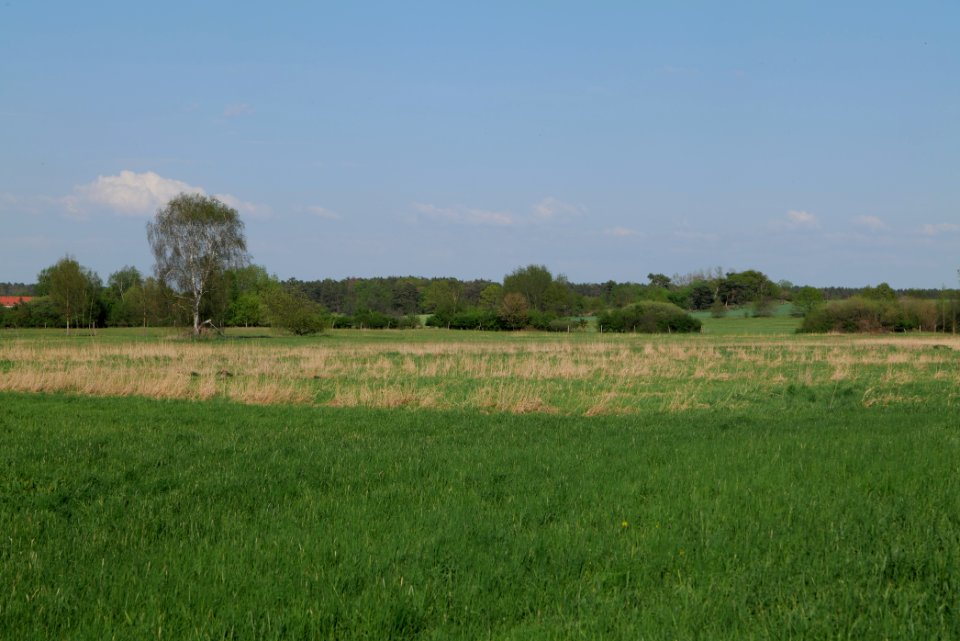 Flutgrabenaue Waltersdorf 2021-05-11 25