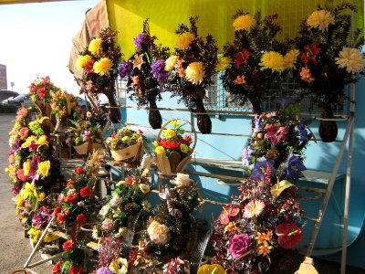 Flower booth - near Hakim hospital of Nishapur 1