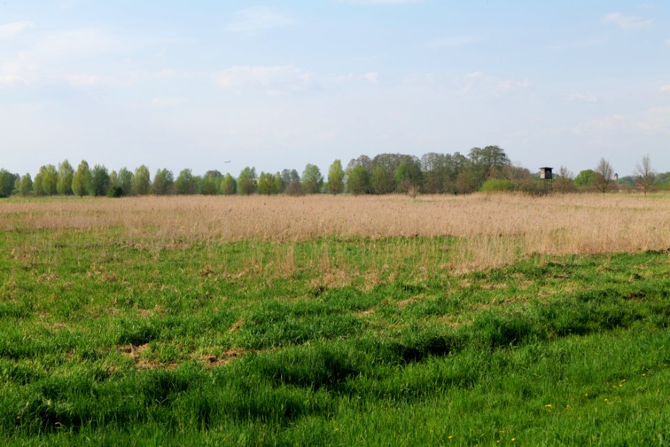 Flutgrabenaue Waltersdorf 2021-05-11 30