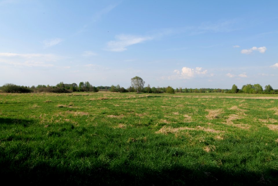 Flutgrabenaue Waltersdorf 2021-05-11 22