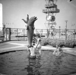 Flipper op boulevard Scheveningen, Bestanddeelnr 919-2394