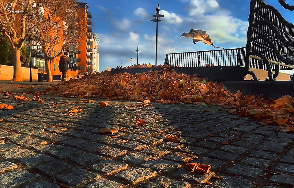 Flying Leaves In London (236636805)