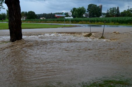 Flash flood Canandiagua NY July 23, 2017 03 yard
