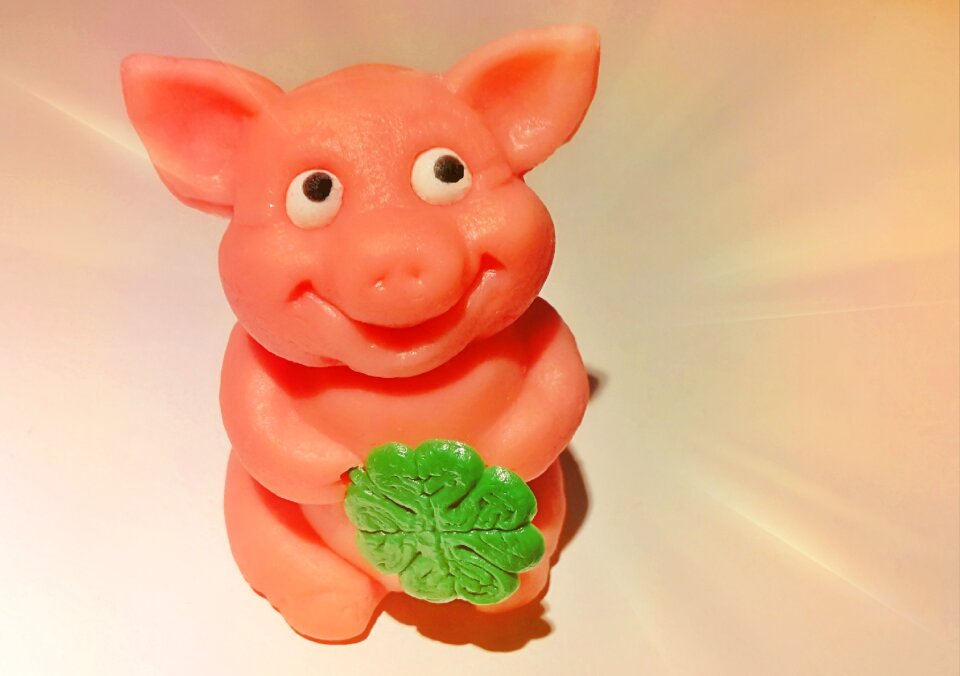 Lucky charm luck piglet